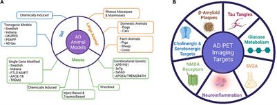 PET Imaging in Animal Models of Alzheimer’s Disease